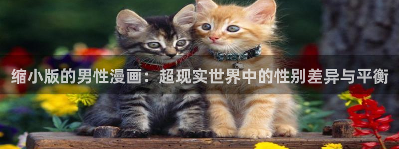 用户登录漫蛙漫画官网