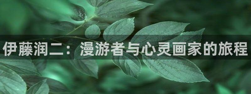 代号anastasia在漫蛙叫什么