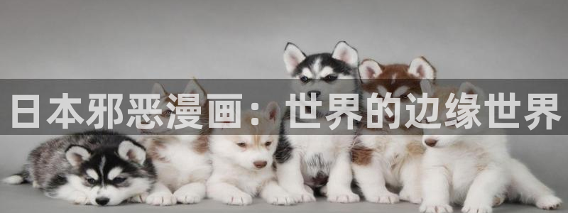 漫蛙2appv1.1.8安卓版：日本邪恶漫画：世界的边缘世界